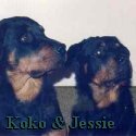 Koko & Jessie