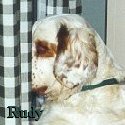 Rudy
