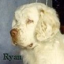 Ryan