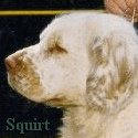 Squirt