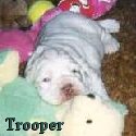 Trooper