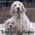 Trooper 'n' Hanna