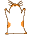 Picture of a Gerbil