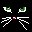 Kitty Face