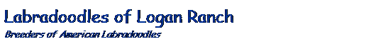 Text Box: Labradoodles of Logan Ranch
Breeders of American Labradoodles
