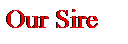 Text Box: Our Sire
