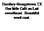 Text Box: Hershey-Georgetown TX
Our little Caf� au Lait sweetheart.&nbsp; Beautiful wool coat.
