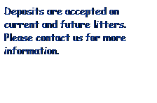 Text Box: Deposits are accepted on current and future litters.&nbsp; Please contact us for more information.
