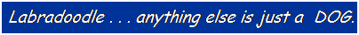 Text Box: Labradoodle . . . anything else is just a&nbsp; DOG.
