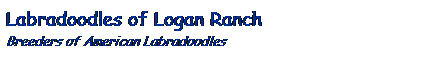 Text Box: Labradoodles of Logan Ranch
Breeders of American Labradoodles
