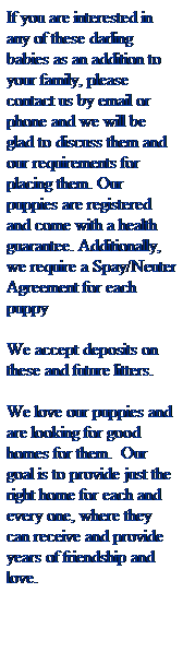 Text Box: If you are interested in any of these darling babies as an addition to your family, please contact us by email or phone and we will be glad to discuss them and our requirements for placing them. Our puppies are registered and come with a health guarantee. Additionally, we require a Spay/Neuter Agreement for each puppy
&nbsp;
We accept deposits on these and future litters.
&nbsp;
We love our puppies and are looking for good homes for them.&nbsp; Our goal is to provide just the right home for each and every one, where they can receive and provide years of friendship and love.
&nbsp;
