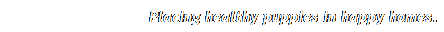 Text Box: Placing healthy puppies in happy homes.
