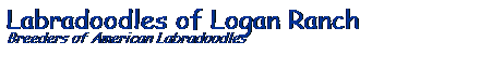 Text Box: Labradoodles of Logan Ranch
Breeders of American Labradoodles
