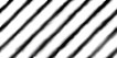 Non-faded version; for HTML (Neopets shops, websites, ect.)