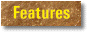 Features of Sharplanina dogs