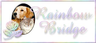 For anyone who has ever loved and lost a pet