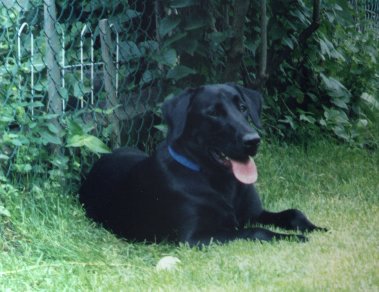 Jasper - Summer 1999