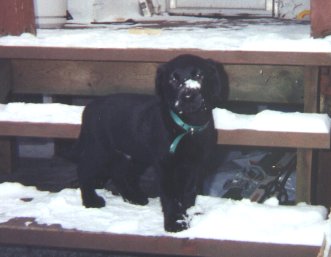 Jasper's first winter