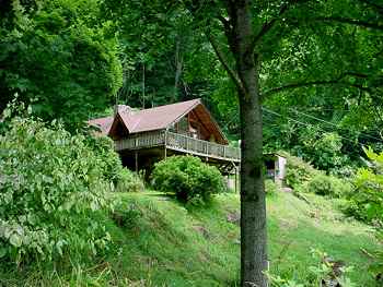 Mountain vacation rental Burnsville North Carolina Pets