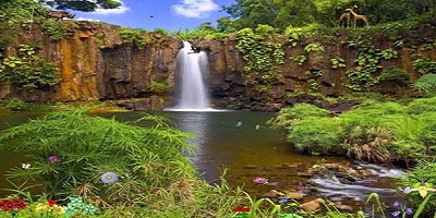 Thumbnail Image 1