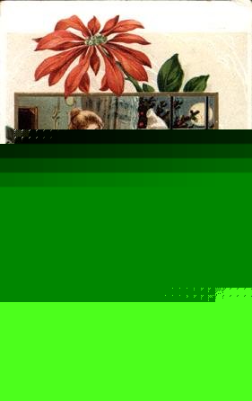 thumbnail of your picture #4