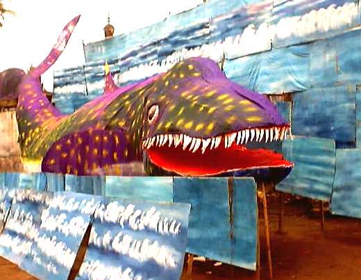 whale