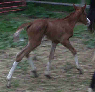June 2, 2005 Newborn