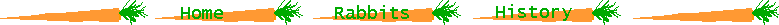 CarrotBar