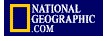 ngbanner.jpg (3144 bytes)