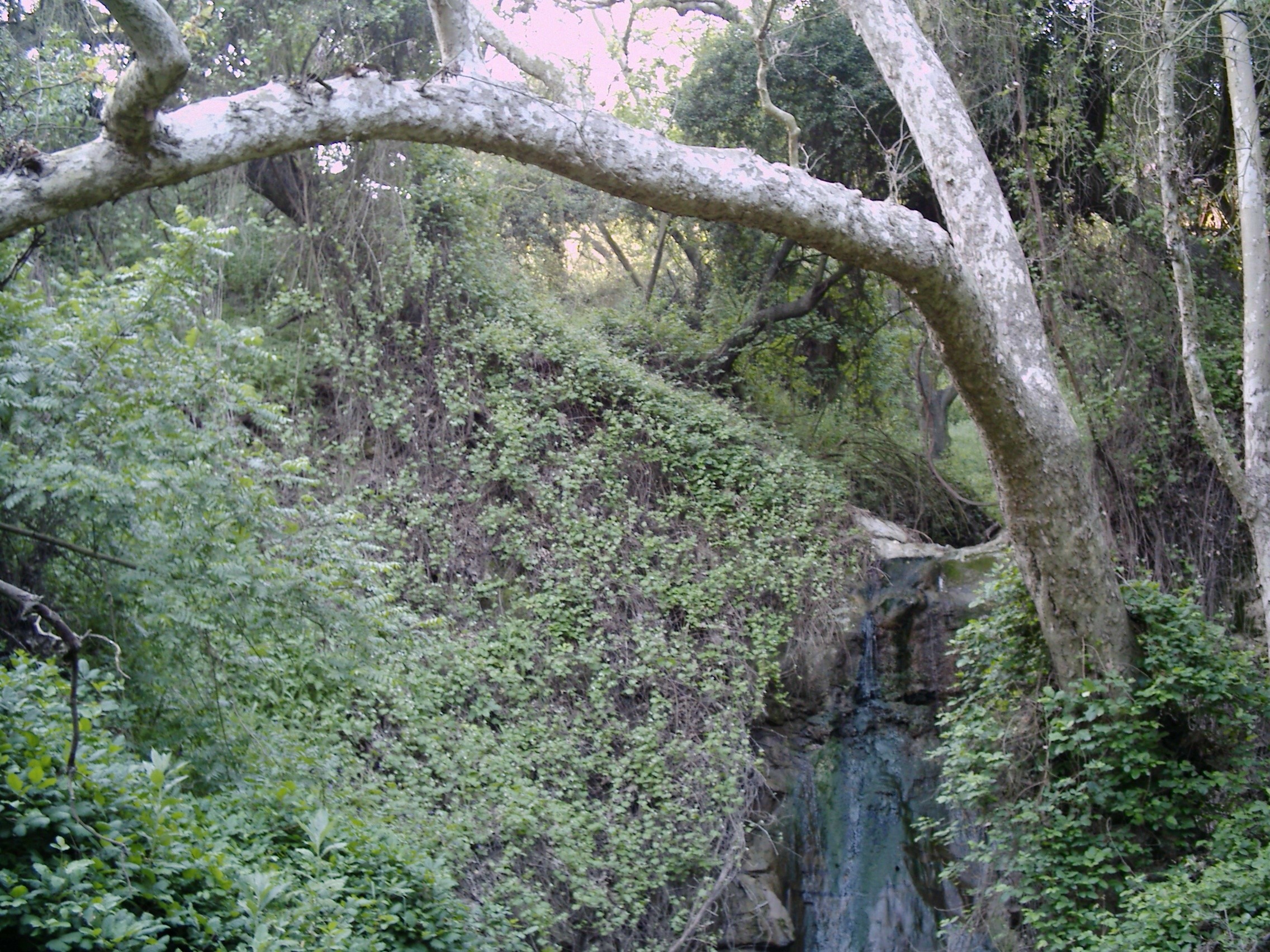 Seasonal falls in Tonner Canyon
