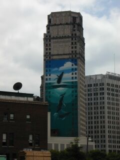 downtown15