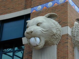 Detroit Tigers 5