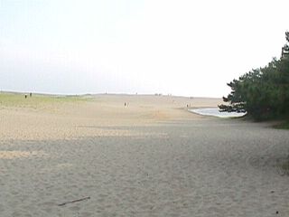 Nakatajima
