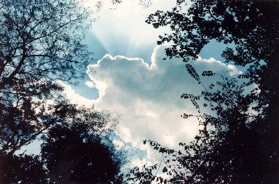 Sunbeams