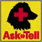 Ten Steps To A Healthier Australian Shepherd Breed