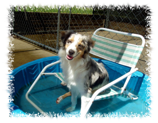 Ice in the&nbsp; Pool August 06