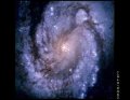 Spirialing Galaxy