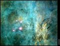 Orion Nebula