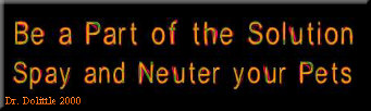 All Creatures Great and Small Spay and Neuter Campaign