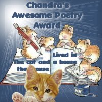 Chandra's Awesome Poetry Award