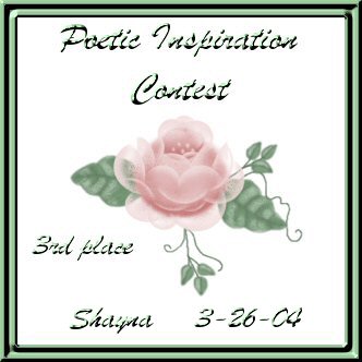 3rd place winner in Poetry Contest