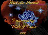 Best Site Award