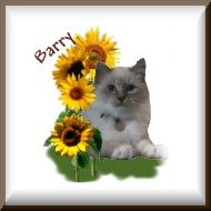 Barry