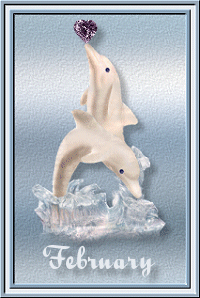 February dolphin