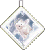 potholder