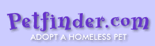 PetFinder