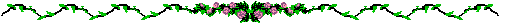 line of roses