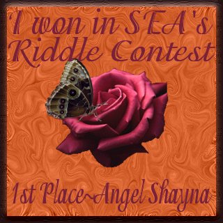 1st place SEA Riddle Contest
