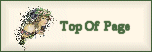 Top Of Page