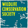 Protect Endangered Animals